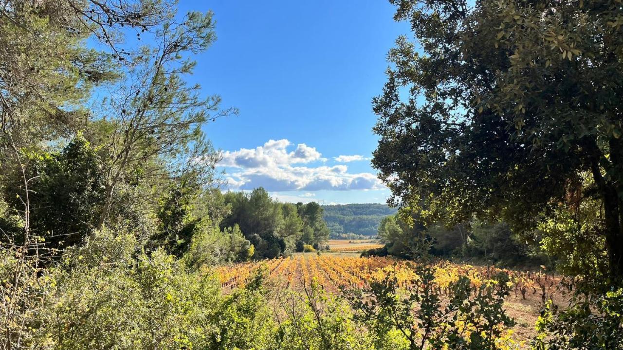 Le Chalet Saint-Jean-de-Minervois Екстериор снимка