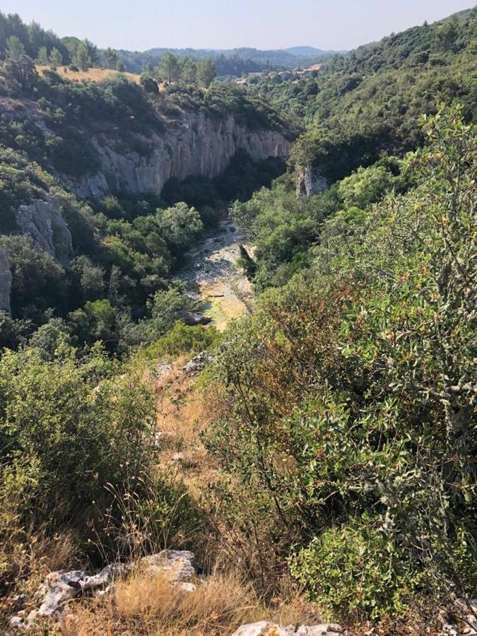 Le Chalet Saint-Jean-de-Minervois Екстериор снимка