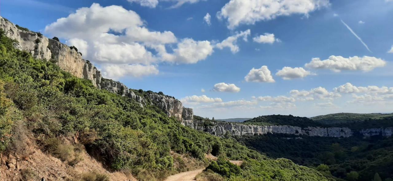 Le Chalet Saint-Jean-de-Minervois Екстериор снимка
